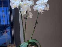 -一石三鸟烧鸟居酒屋(南桥美谷店)