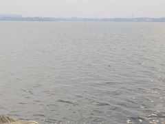 -丁香湖公园