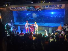 -成都浩海立方海洋公园