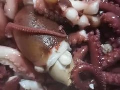 -叶存利海鲜大馅饺子(东戴河止锚湾店)