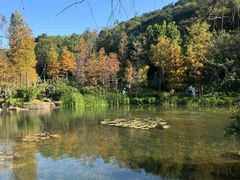 -云溪植物园