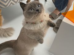 -一间摄影工作室(天安云谷店)