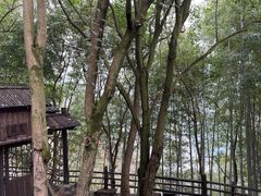 -三峡人家风景区