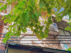 -荔園 LaiYuen