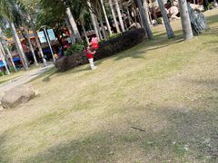 -金砂公园