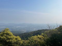 -广州市帽峰山景区