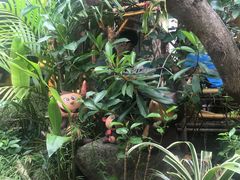 -Jungle Kitchen