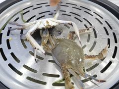 -必点蒸汽海鲜(止锚湾店)