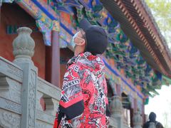 -护国法轮寺
