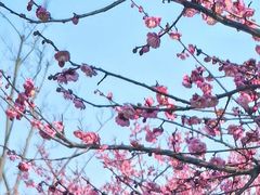 -嘉北郊野公园