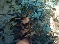 -汤山温泉房车营地 茶温泉