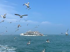 -威海国际海水浴场旅游区