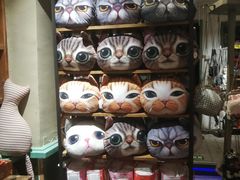 -猫咪博物馆(顶澳仔猫街店)