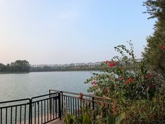 -松山湖梦幻百花洲