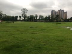 -府河摄影公园