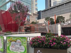 -中国福利会少年宫