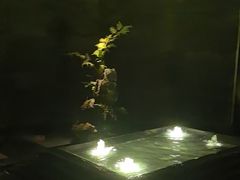 -泰之源足浴会所(玉环店)