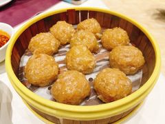 阳高粉丸子-凯鸽酒楼(大同振兴街店)