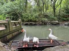 -兰亭风景区