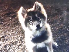 -中影星美大北门影城