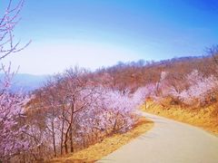 -北京西山国家森林公园