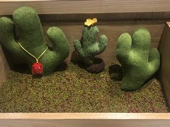 -炖物24章·顺时轻养茶(杭州保利时光里店)