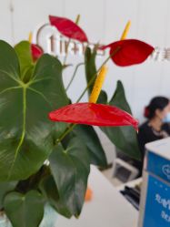 -常熟时代医疗美容