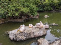 -昆明动物园