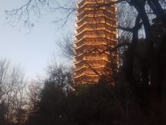 -博雅塔