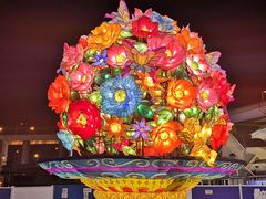-锦江乐园舞狸花花游园会(夜场专享)
