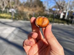 -秋栗香(地安门店)