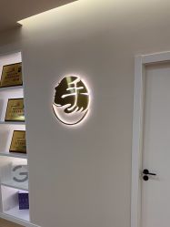 -颜和骨正·明哲式骨相美学整骨