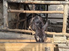 -清风小镇闯关东影视基地
