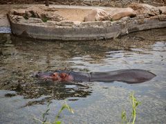 -沈阳森林动物园