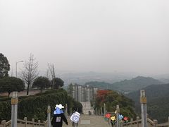 -铁山坪森林公园