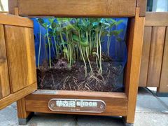 -深业幸福家托育(深业U中心园)