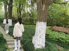 -昆山城市生态森林公园