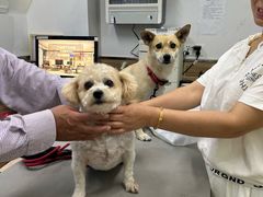 -爱侣宠医·鹦鹉专科·小型哺乳类·异宠专科(灵石路店)