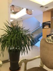 -伊美尔医疗美容医院