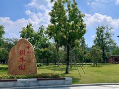 -中山市树木园