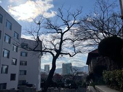 -烟台山景区