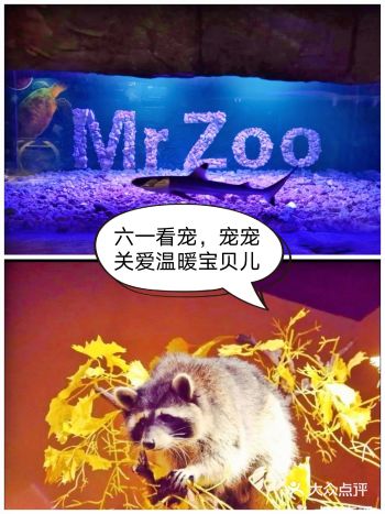 六一特惠：宠爱你的宝贝