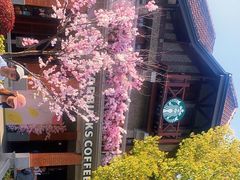 -星巴克臻选(思南公馆店)