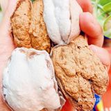 一整个闭眼入的大动作🔥满**浆空口吃一盒