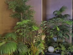-臻享足道·HIFI影院足疗SPA(成华店)