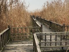 -下渚湖国家湿地公园科普馆