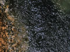 -雅鲁激流探险漂流