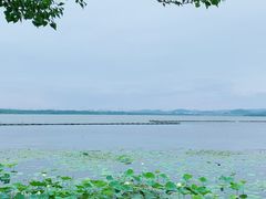 -东湖生态旅游风景区