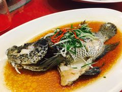 -都市阳光海鲜城(青山湖店)