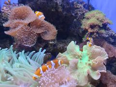 -多彩贵州城极地海洋世界